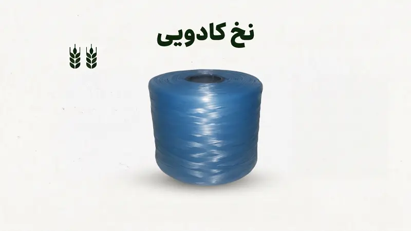 نخ کادویی