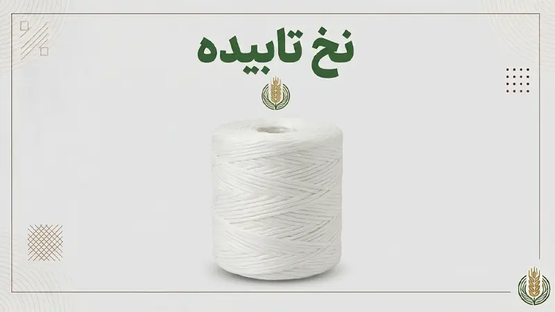 نخ تابیده